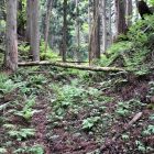 桂井戸ワキの空堀