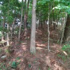 尾根道を下から
