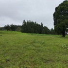 奥御殿全景