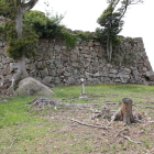 東の丸東端高石垣Ⅱ