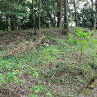 曲輪１南側の土塁