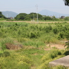 １郭は畑地