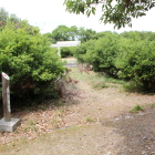 西の丸標柱と内部Ⅱ東屋と植栽が茂り過ぎ