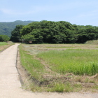 外曲輪と鹿島神社の森