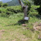 外曲輪東虎口