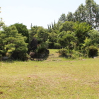 残されてる旧小学校の庭園