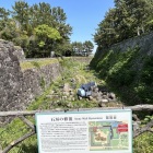 本丸北側の石垣修復現場（不明門を出た所）