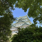 御深井丸から天守を見上げる