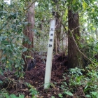 荒神ノ城を見上げる