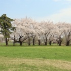 内館