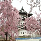 天守