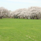 西館
