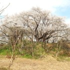 城跡南側から