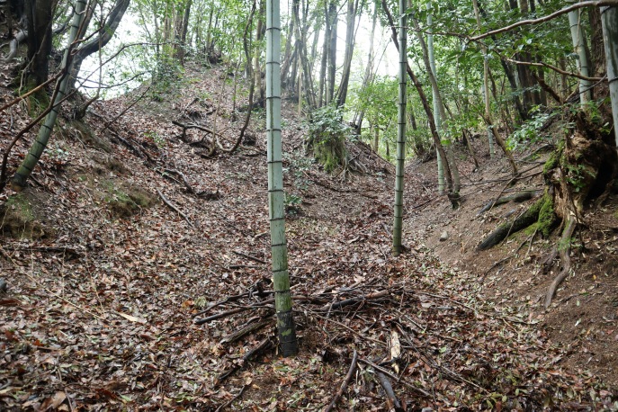 北側の２重堀切