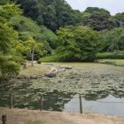 近水園