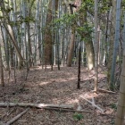 杉崎神社奥の曲輪跡