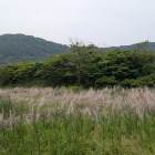 南側から