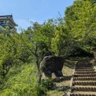 整備された散策路