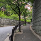 二郭と三郭の間の堀跡