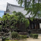 難宗寺本堂