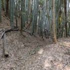 堀に見えるがおそらく後世の動線