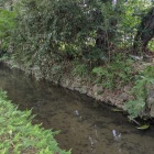 堀の水は澄んでいた