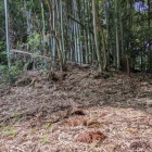 土塁のように見える