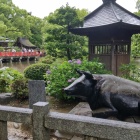 ③	御神牛と庭園