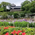 ①	花菖蒲園と南丸多門櫓