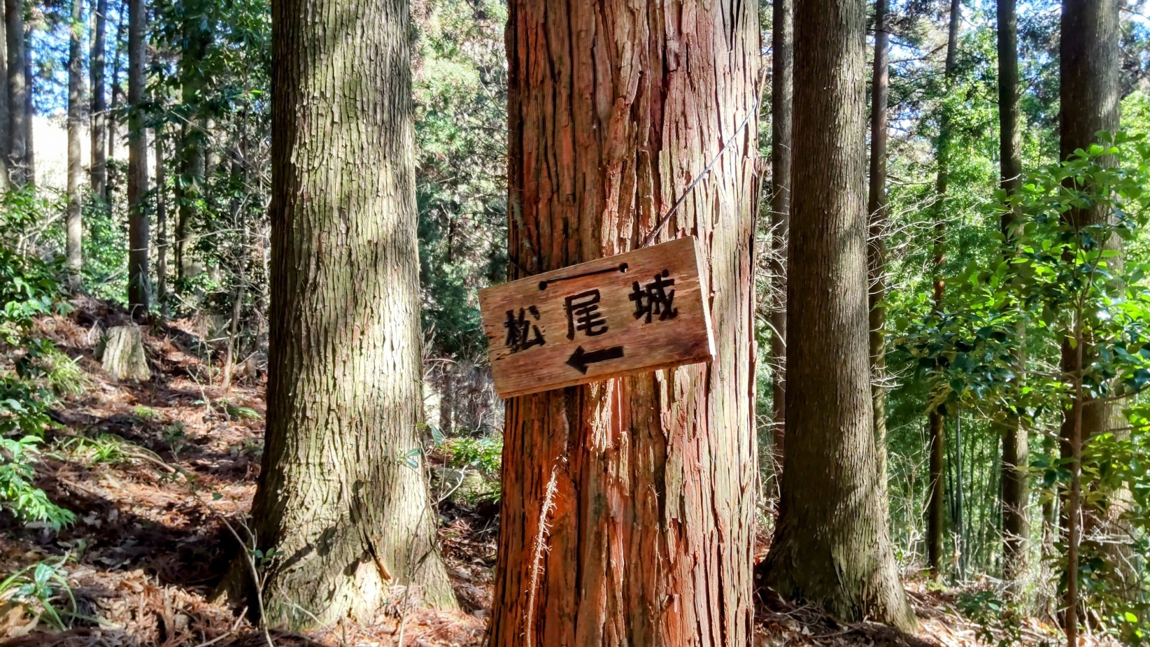 ①	松尾城登城路