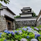 ⑤	下之橋御門と紫陽花