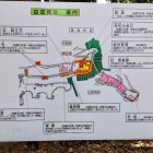 ⑧	縄張りの説明
