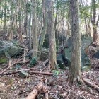 ⑥	尾根道にいくつもあった砦の大規模破却跡あと