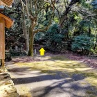 ③	境内右側登城路