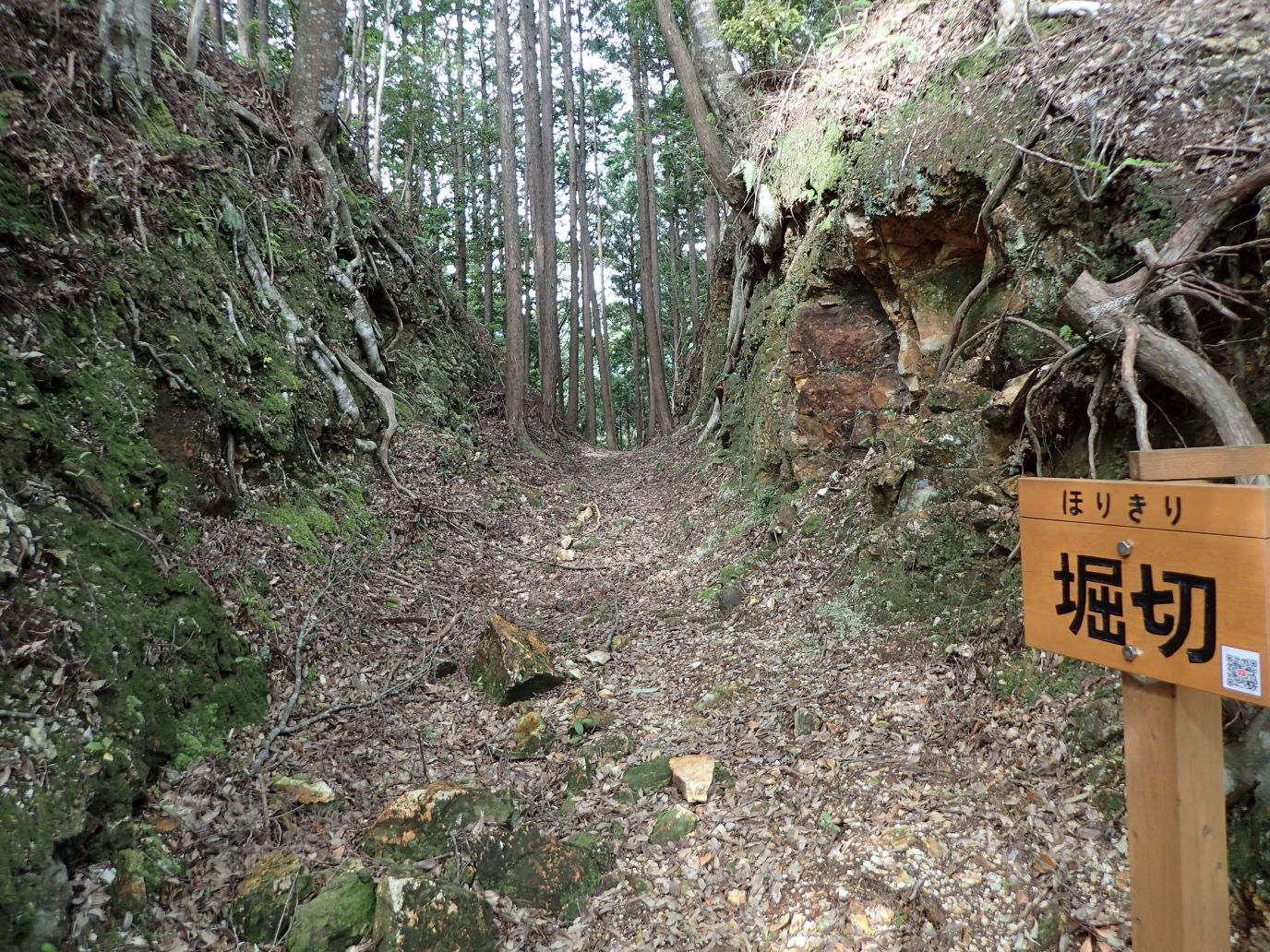 ①西曲輪群西側の堀切