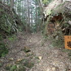 ①西曲輪群西側の堀切