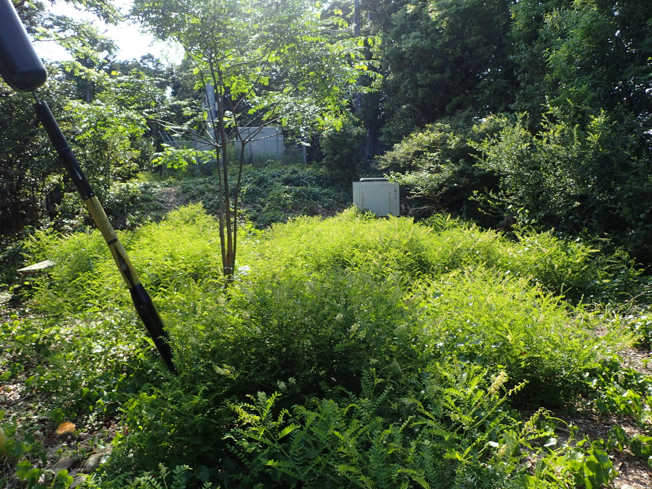 ①本丸と説明板