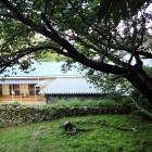 ⑤石垣野面積み(二の丸(現正明保育園東側))