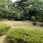 ⑦主郭