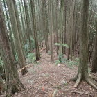 ⑩両側は崖です