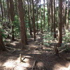 ⑧山田野城跡から見下ろす(左側は土塁)