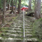 ⑤苔むした階段
