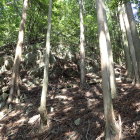 ④城塁の大岩
