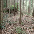 ⑨郭3(郭2の手前)の城塁