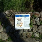 ⑩津ノ森遺跡説明板