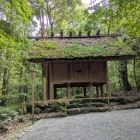 ⑤外幣殿