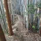 ④土橋(両側が崖です)