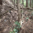 ③郭2手前の堀切