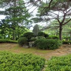 ⑥主郭にある城址碑(鹿が怖くて近づけません)
