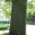 ⑨城阯碑(かすかに阪内の文字が)